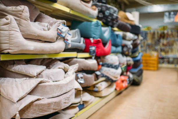 istock Inside pet shop, shelves with accessories, nobody 927159382