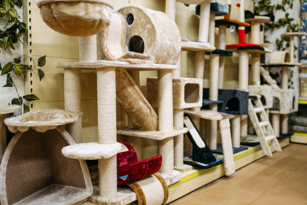 istock Inside zooshop, shelves with accessories for cats 927159418