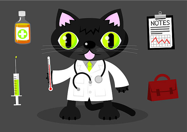 Médecin chat - Illustration vectorielle