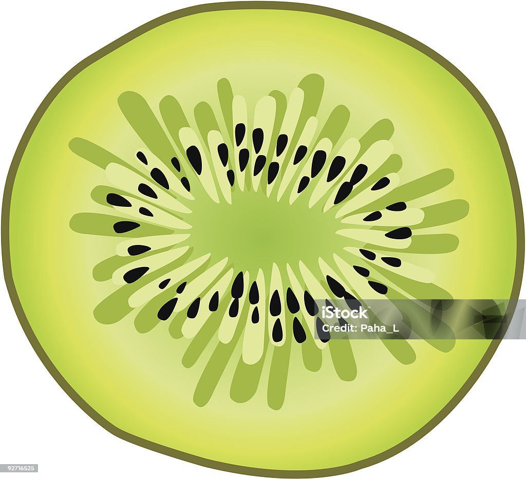 Rodaja de kiwi vector - arte vectorial de Alimento libre de derechos