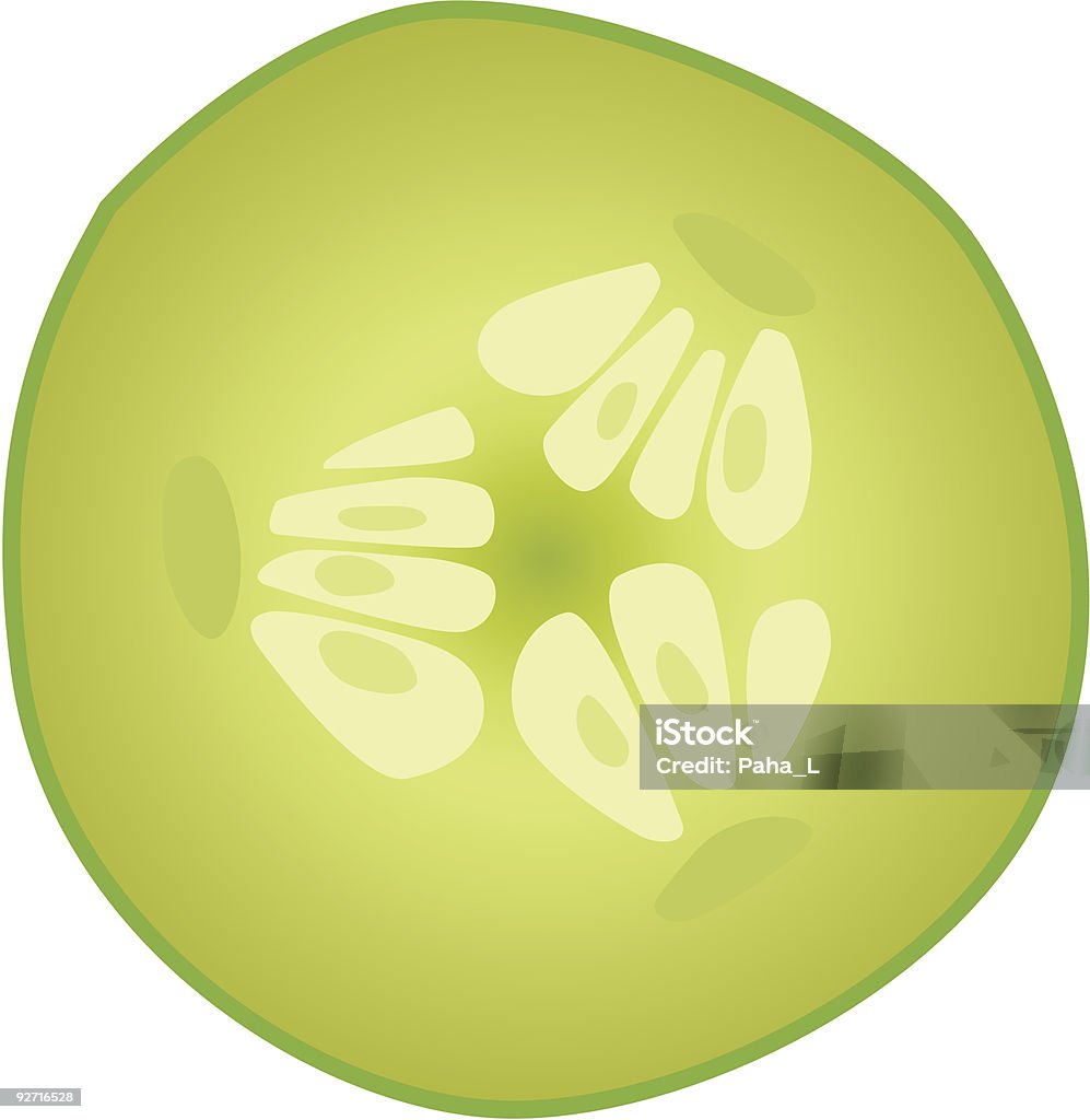 slice  cucumber vector  Close To stock vector