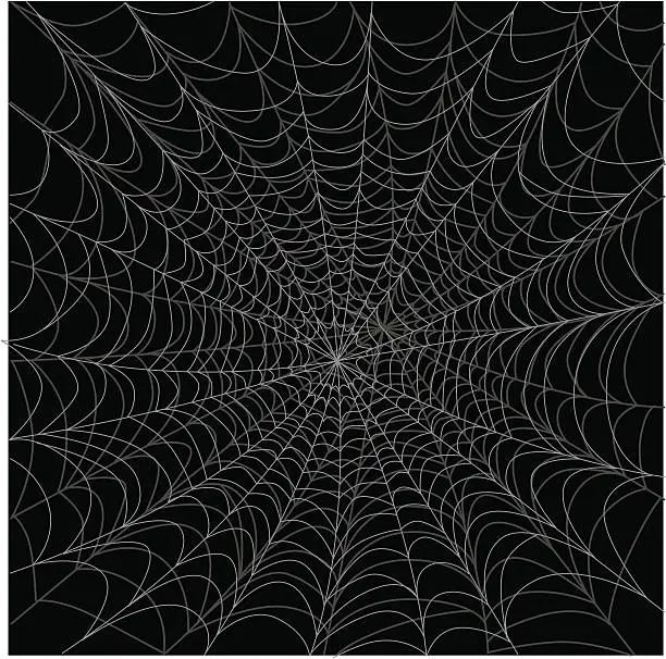 Vector illustration of Spider Web on Black