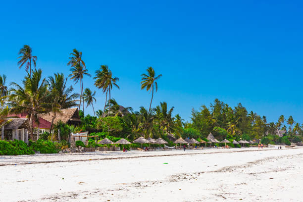 istock Matemwe beach, Zanzibar. Tanzania. 927169546