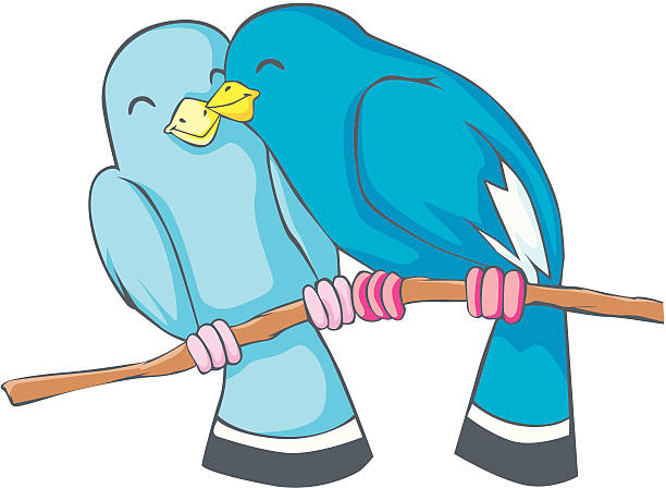 Love Birds Stock Illustration - Download Image Now - Bird, Boyfriend, Color  Image - iStock