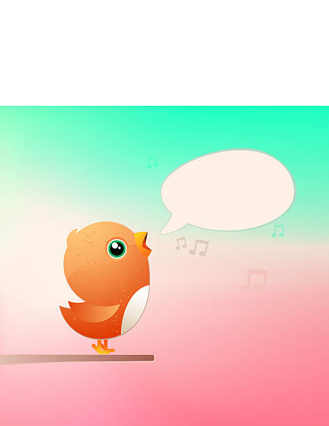 Bird vector art illustration