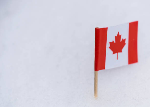 istock Canada flag made from paper with brown toothpick on white snow background. 927185122