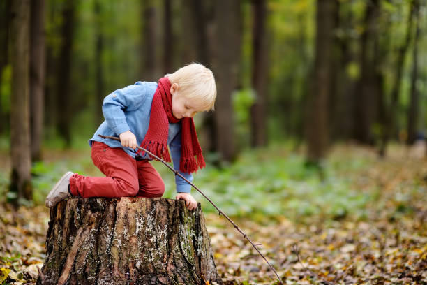 istock Little boy playing on wooden stump during stroll in the forest 927188470