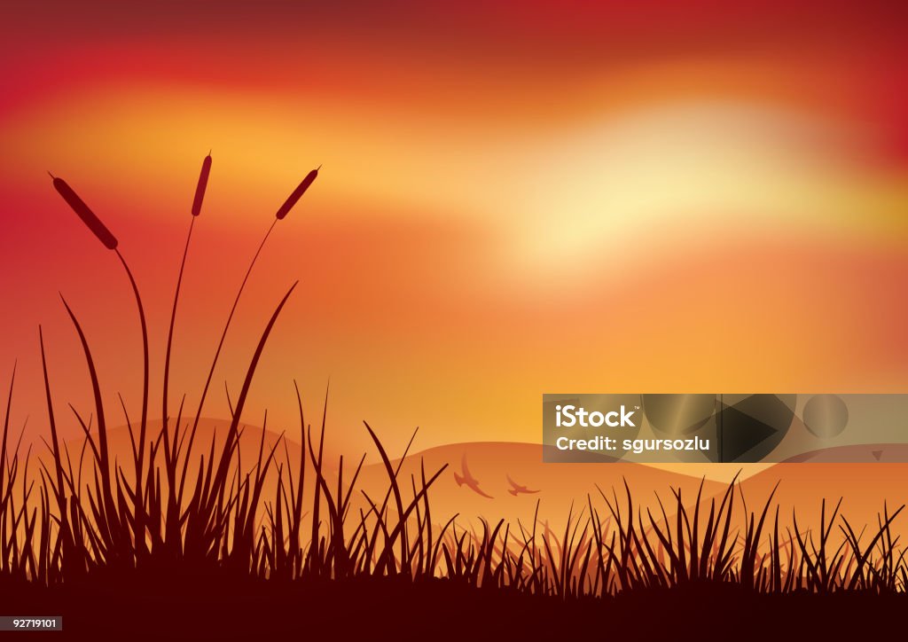 Marais au coucher du soleil. - clipart vectoriel de Coucher de soleil libre de droits