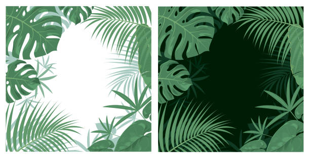 illustrazioni stock, clip art, cartoni animati e icone di tendenza di sfondo giungla - tropical rainforest illustrations