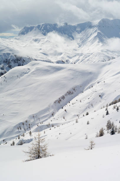 istock Beautiful winter landscape after snow falls 927193714