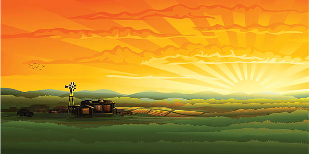 illustrazioni stock, clip art, cartoni animati e icone di tendenza di di sera paesaggio panorama-farm, campo e turbina a vento - farm barn