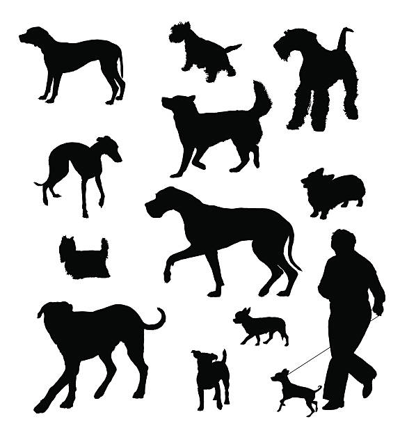 Silhouettes of different sizes and breeds of dog vector art illustration