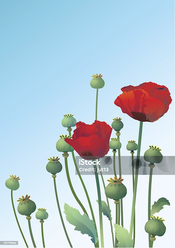 poppy  Backgrounds stock vector