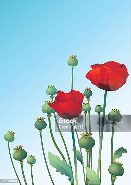 Poppy Stock Illustration - Download Image Now - Backgrounds, Beauty In Nature, Blossom
