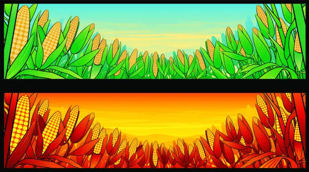 Vector illustration of Autumn Background