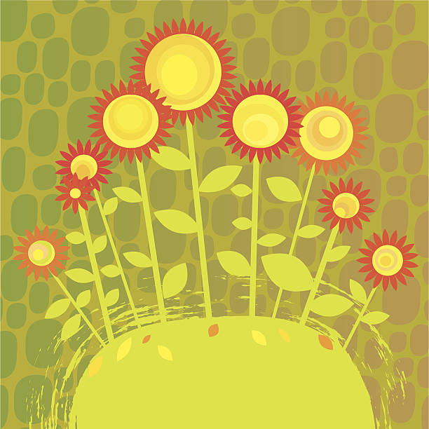 cartoon sunflowers vector art illustration