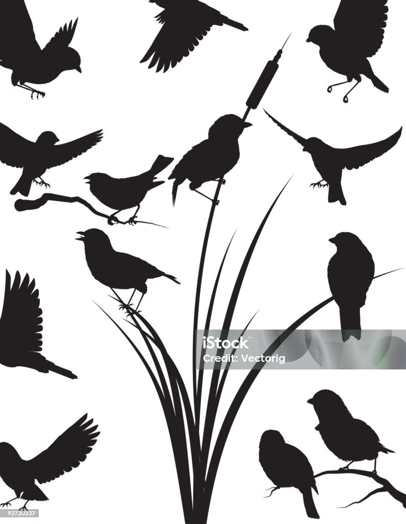 Sparrow silhouette  Bird stock vector