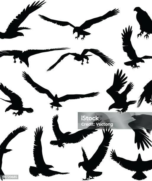 Ilustración de Eagle Silueta y más Vectores Libres de Derechos de Silueta - Silueta, Águila, Familia de los halcones