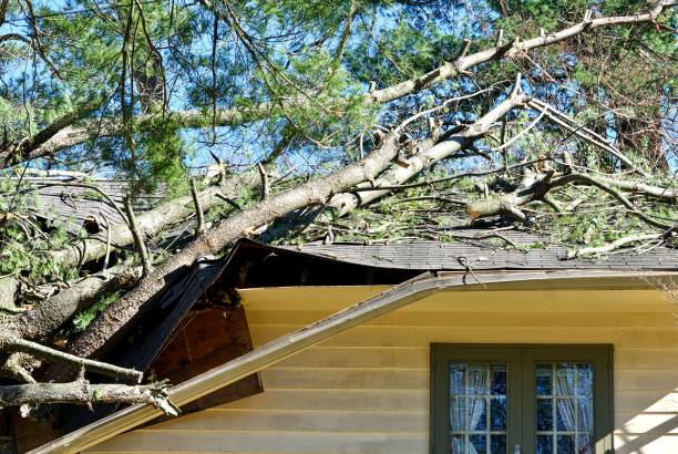 Tree Damages Roof of House Fairfax, Virginia - March 3, 2018: A tree blown over during "Windmageddon", a long-lasting windstorm that crippled the Washington, D.C., metro area shutting schools and the Federal Government, crashed into this house and damaged it when the tree toppled over in the strong winds. fairfax virginia photos stock pictures, royalty-free photos & images