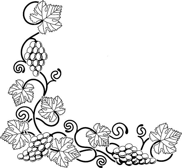 виноград лоза элемент дизайна - grape bunch fruit stem stock illustrations
