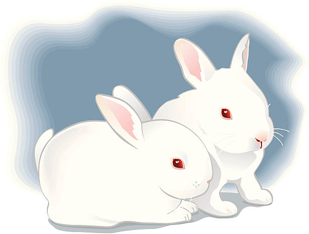 1,157 Two Rabbits Illustrations & Clip Art - iStock | Bunnies, Two animals,  Rabbit ears
