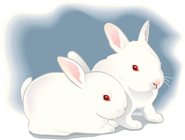 1,157 Two Rabbits Illustrations & Clip Art - iStock | Bunnies, Two animals, Rabbit ears 1,157 Two Rabbits Illustrations & Clip Art - iStock | Bunnies, Two animals, Rabbit ears