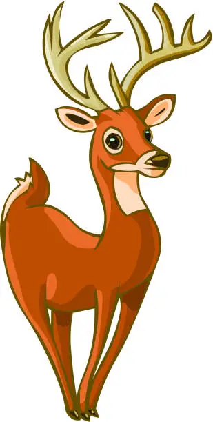 Vector illustration of whitetailed deer