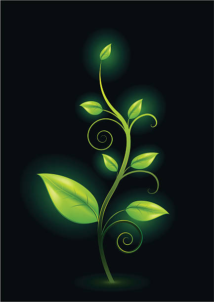 green plant shining in the dark vector art illustration