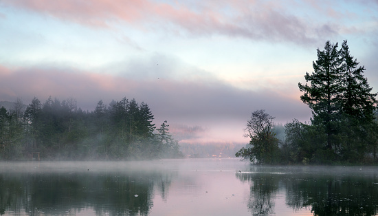 Fog along Mud Bay, Olympia, Washington State, USA