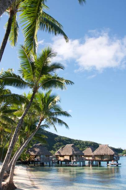 istock Honeymoon in French Polynesia 927229762