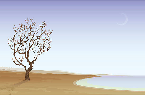 Desert beach vector art illustration