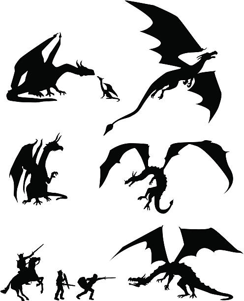 illustrazioni stock, clip art, cartoni animati e icone di tendenza di silhouette del drago - fantasy flying dragon monster