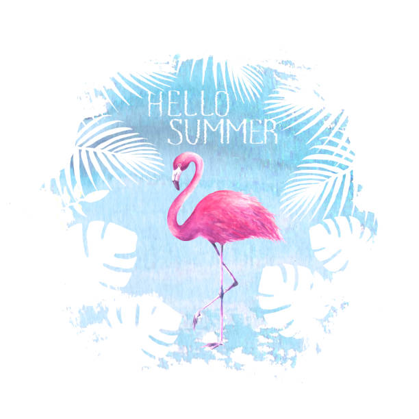 illustrazioni stock, clip art, cartoni animati e icone di tendenza di ciao estate lettering flamingo poster blu - white pink flamingo blue