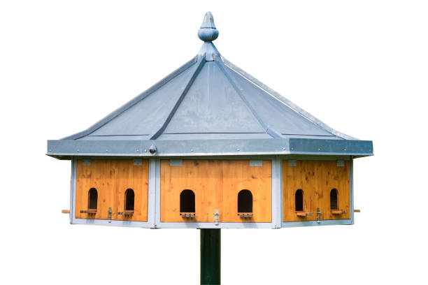 wooden birdhouse in the garden