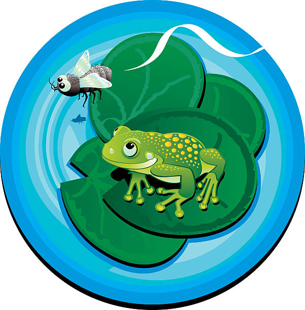 лягушка и гульфика - frog catching fly water stock illustrations