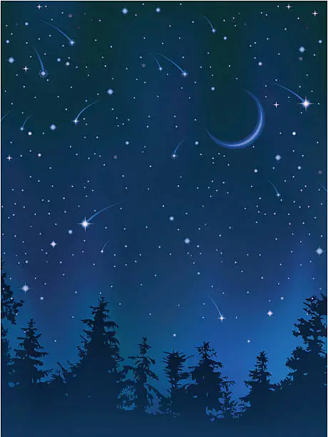 Vector illustration of Clear night sky over the forest
