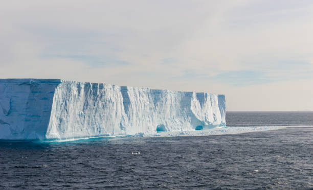 istock Floating Tabular Icebergs in Antarctic Sound 927241146