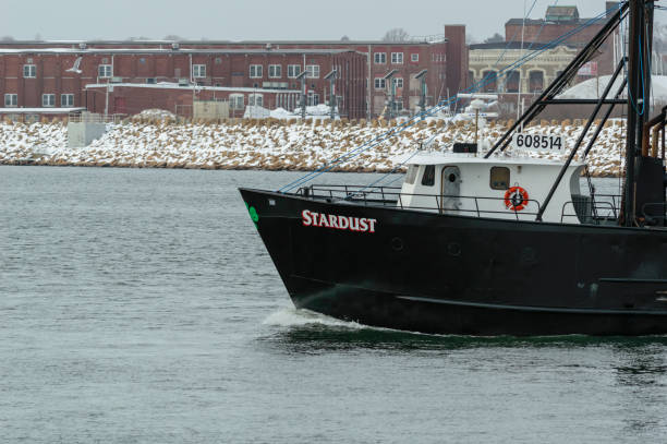 prow z f / v stardust - pilothouse zdjęcia i obrazy z banku zdjęć