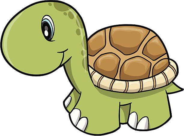 Cute Safari Turtle vector art illustration