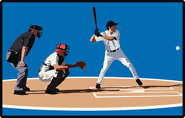 이 운수에 야구공 - baseball catcher baseball umpire batting baseball player stock illustrations