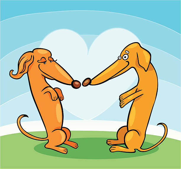 ilustraciones, imágenes clip art, dibujos animados e iconos de stock de perro tejonero perros en amor - heart shape cute valentines day nostalgia
