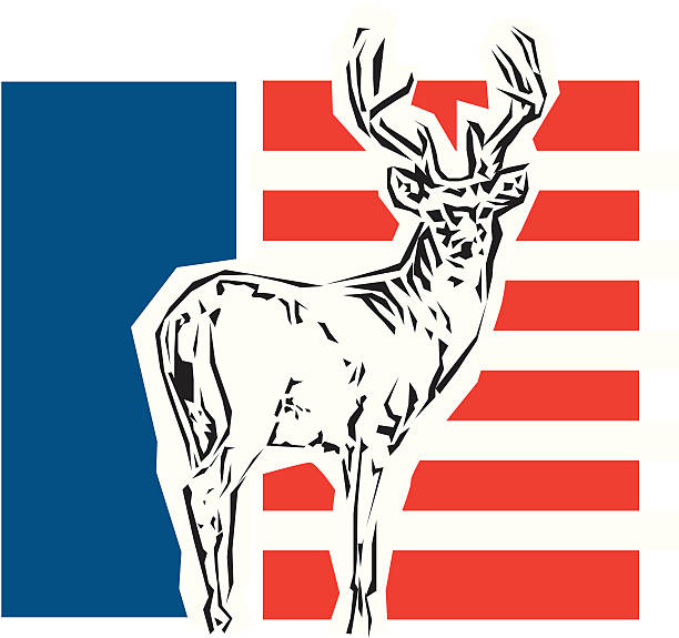 Patriotique cerf Buck - Illustration vectorielle