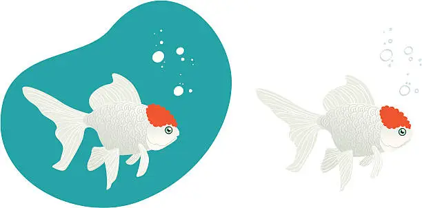 Vector illustration of Goldfish