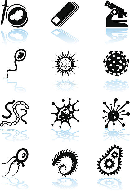 mikroskopijne zestaw - microscope slide stock illustrations