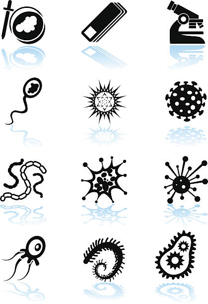 Microscopic Set vector art illustration