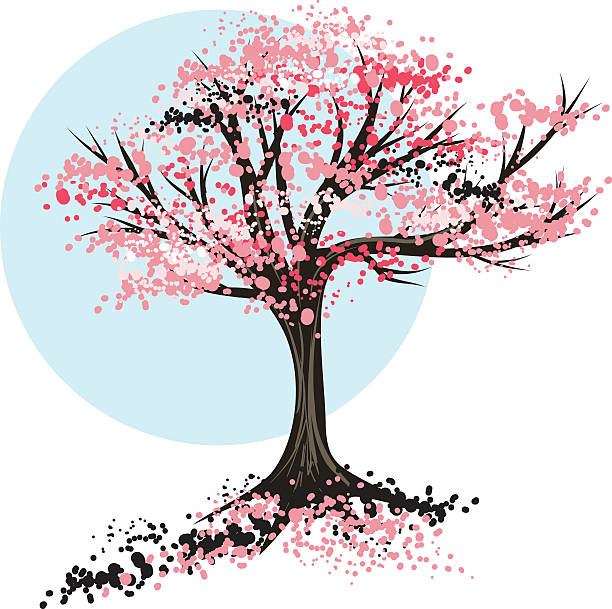 스케치 작은 나무-spring - spring vertical cherry blossom color image stock illustrations