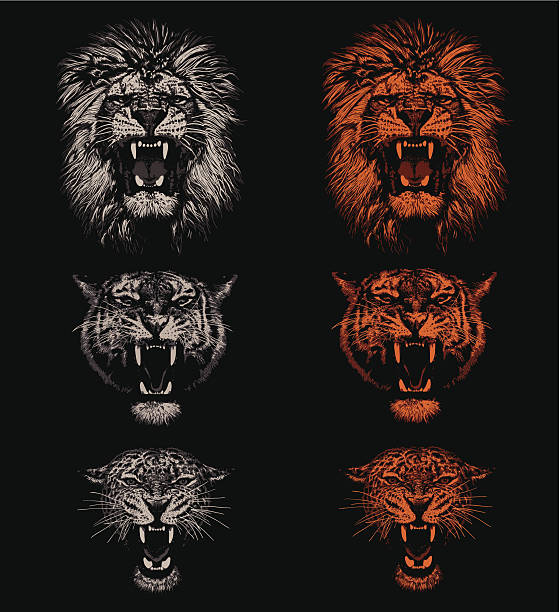 wielkie koty - roaring stock illustrations