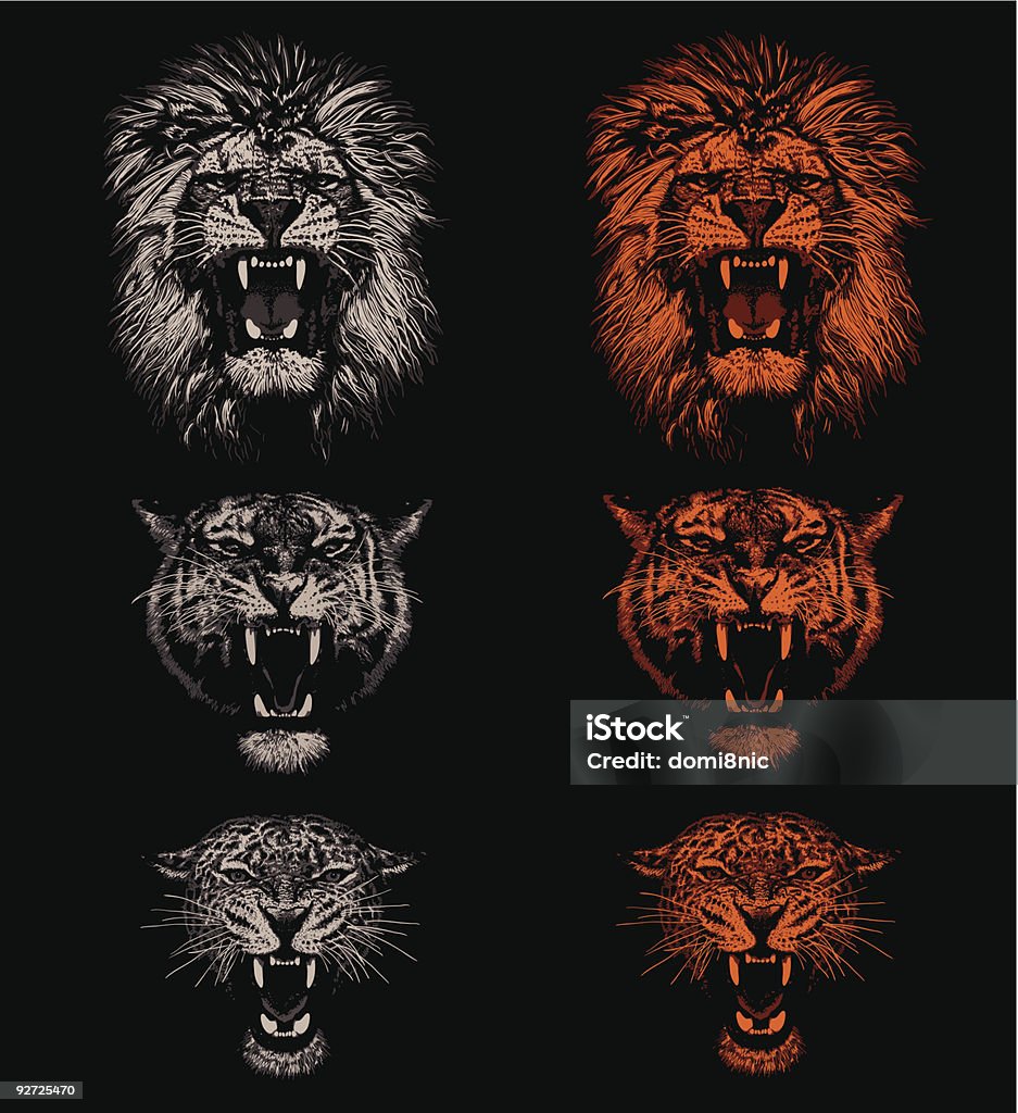 Big Cats Lion, tiger and leopard. Hand drawing - lights and shadows style. Lion - Feline stock vector