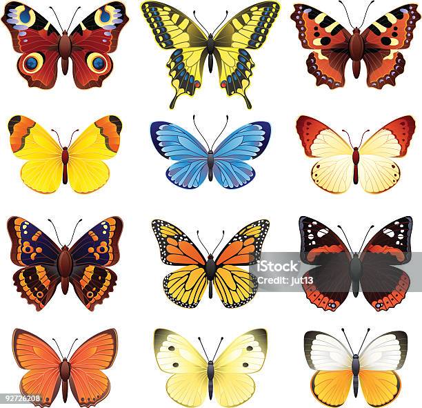 A Set Of Different Colored Butterflies Stock Illustration - Download Image Now - Butterfly - Insect, Peacock Butterfly, Pieris rapae