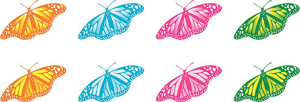 vector butterflies vector art illustration